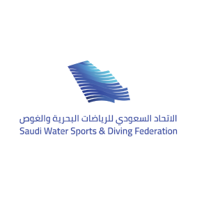 ٦